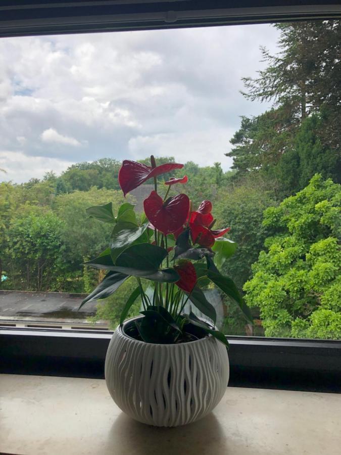 Kleine Oase In Essen-Sued公寓 外观 照片